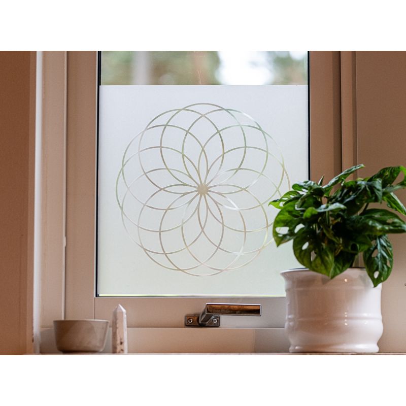 Torus - F&ouml;nsterdekor i frostad glasfilm